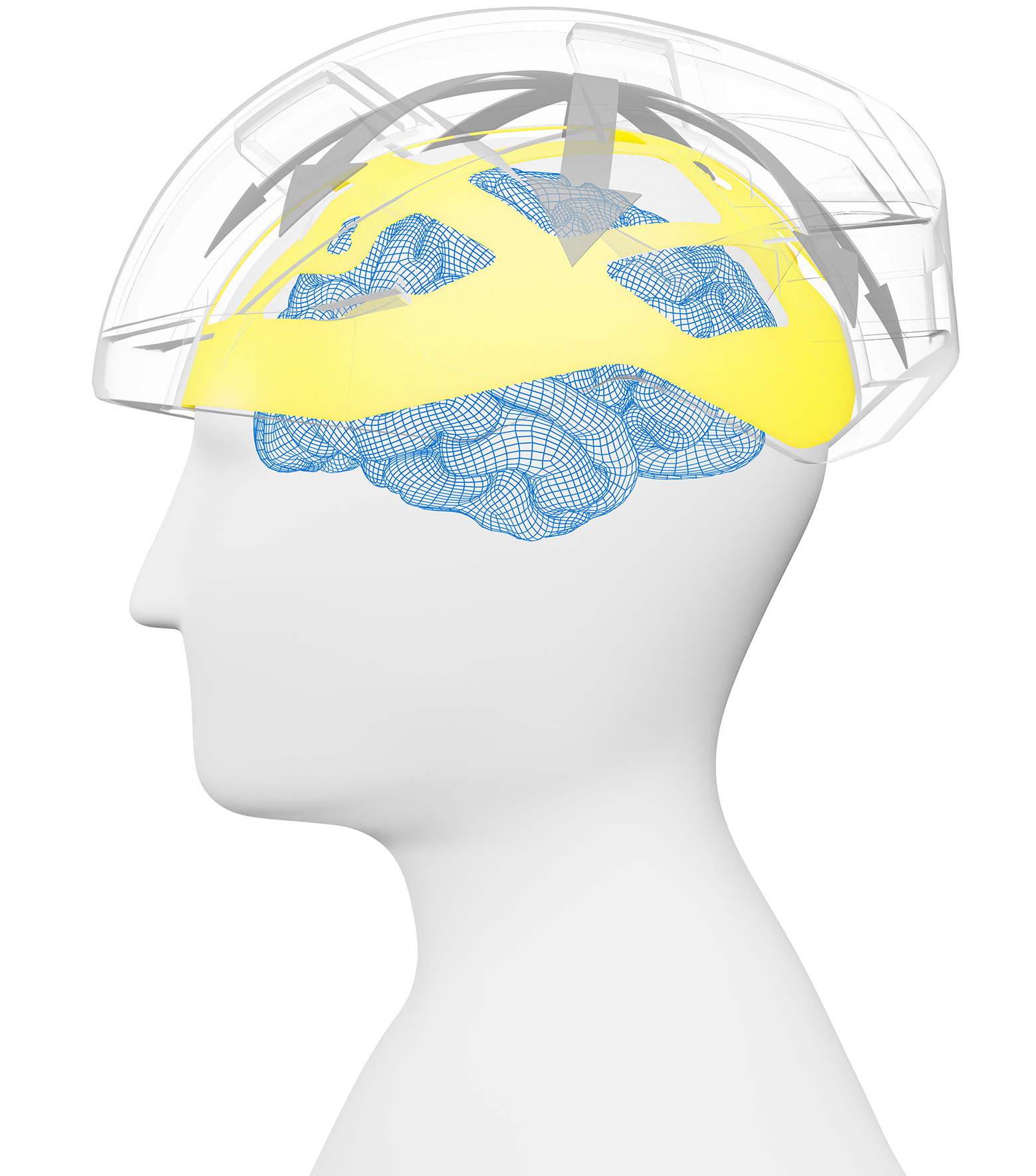 Bike_Arrows_Brain-02.jpeg