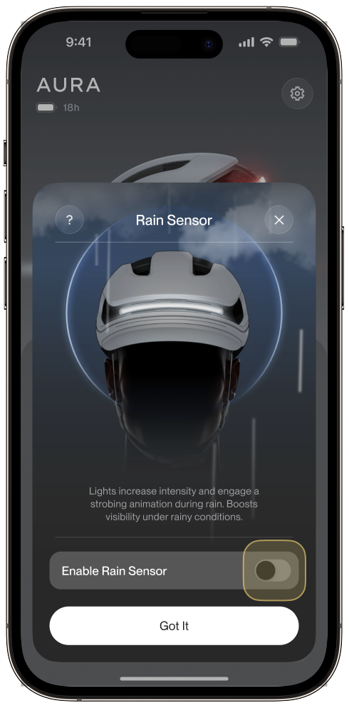 Rain Sensor toggle off.png